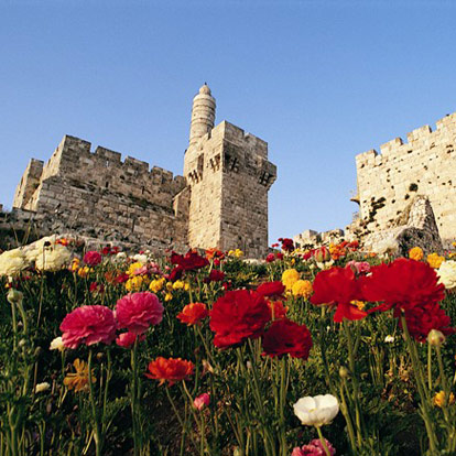 Israel with flowers