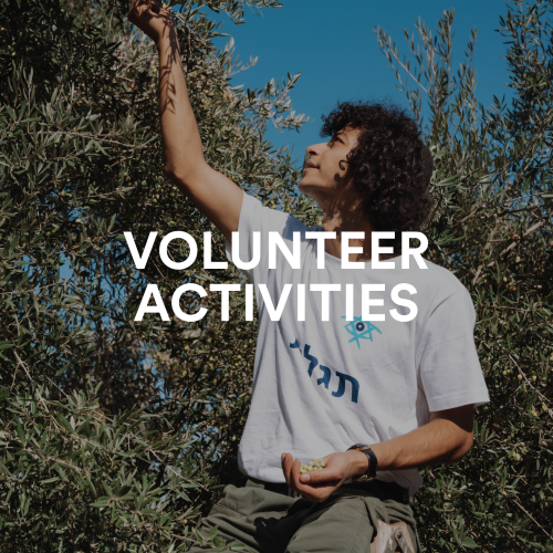Volunteer Volunteer